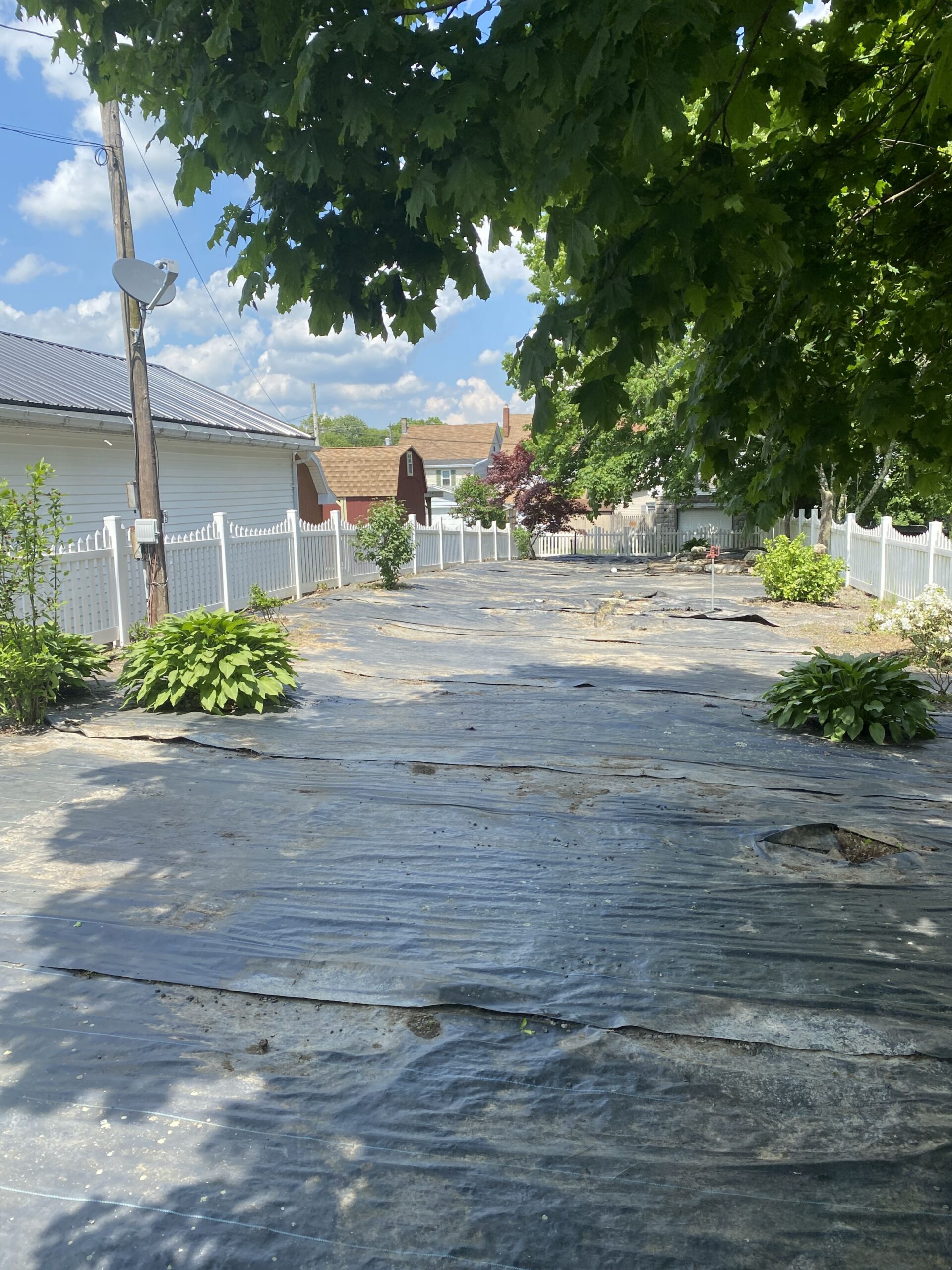 393CF027-5B9D-49DF-BCAC-539A8F09D49F