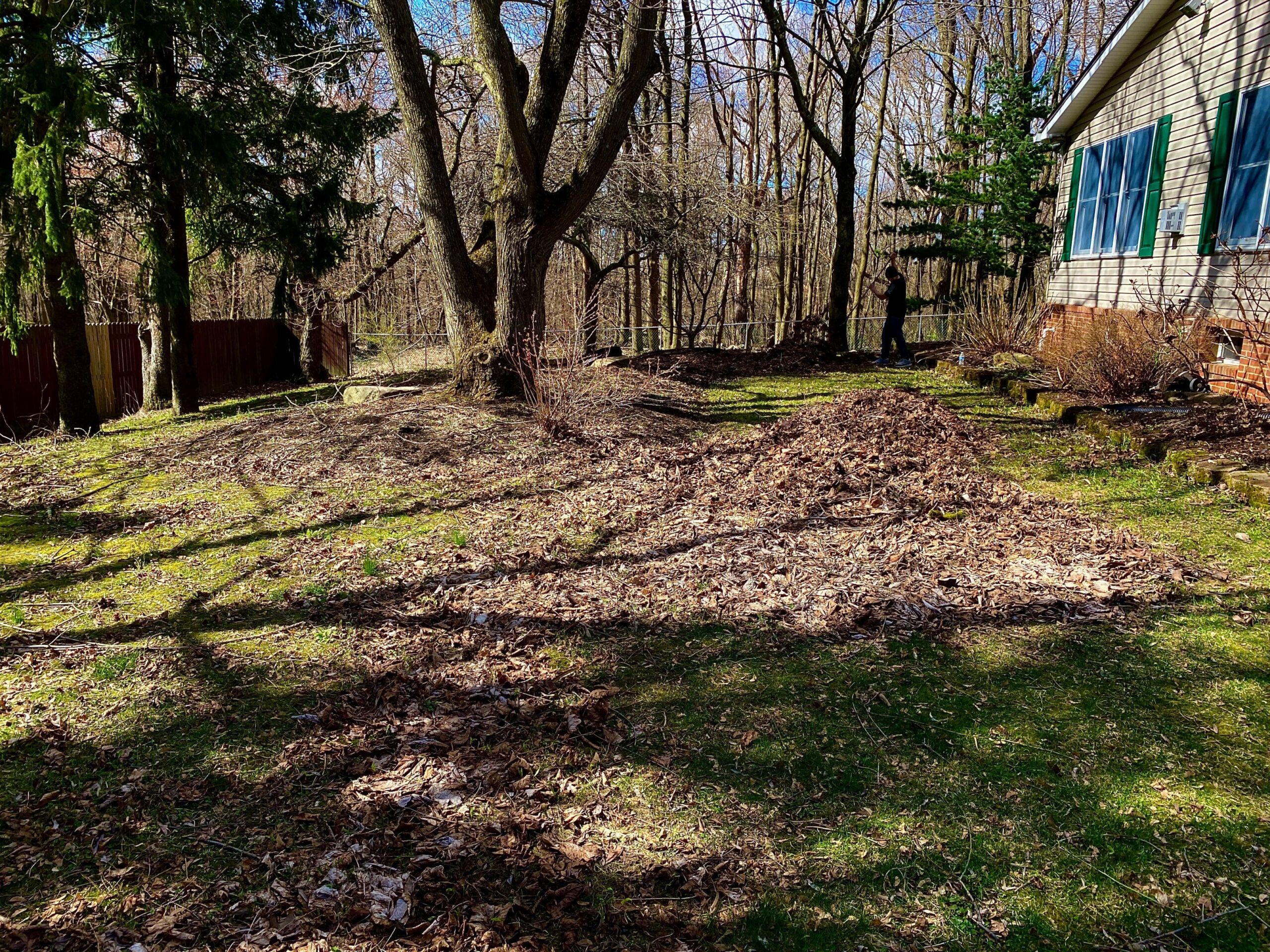 F0F2E430-26B9-47E8-AAAD-19FDEB0A98FD